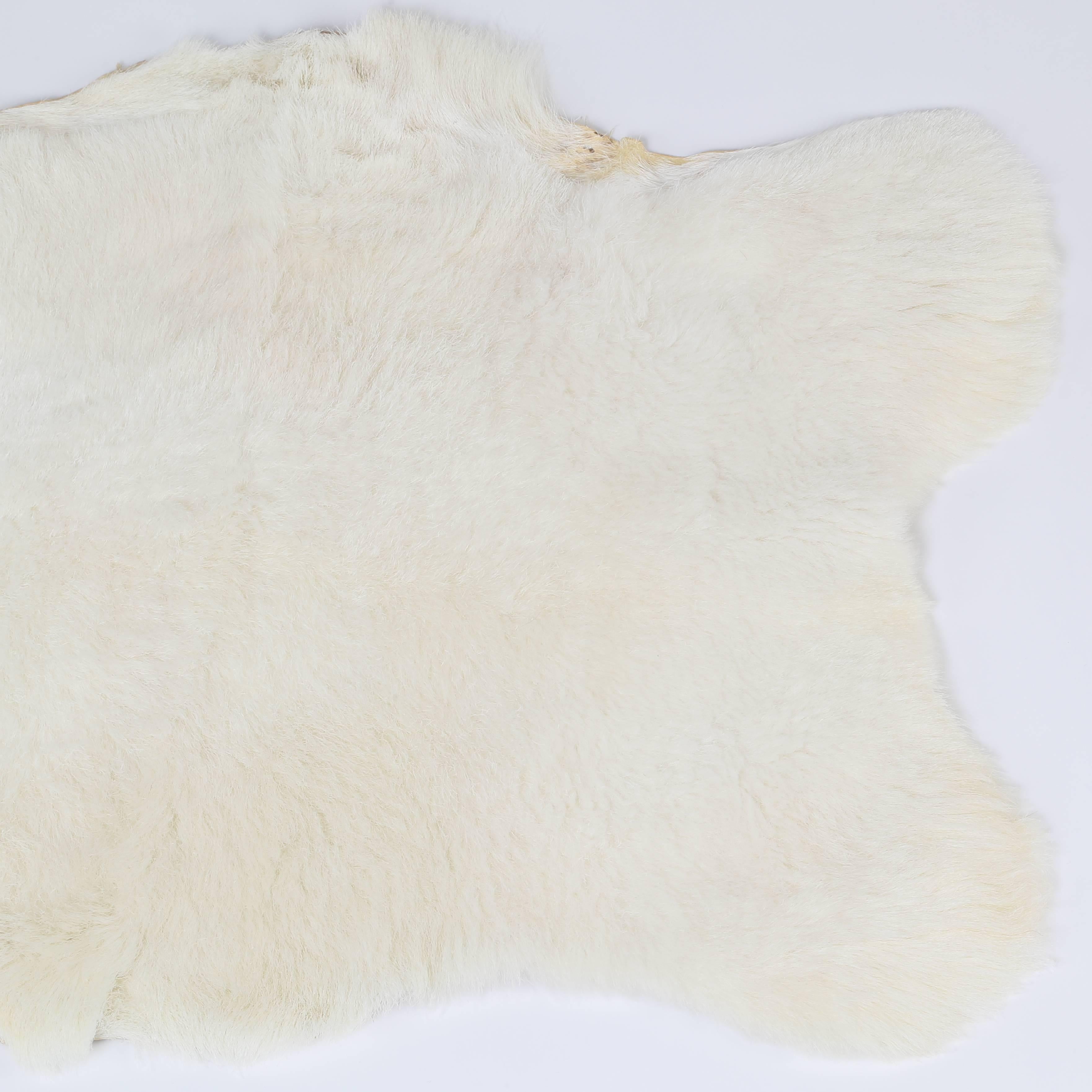 Contemporary White Katahdin Hair Sheep Throw or Rug