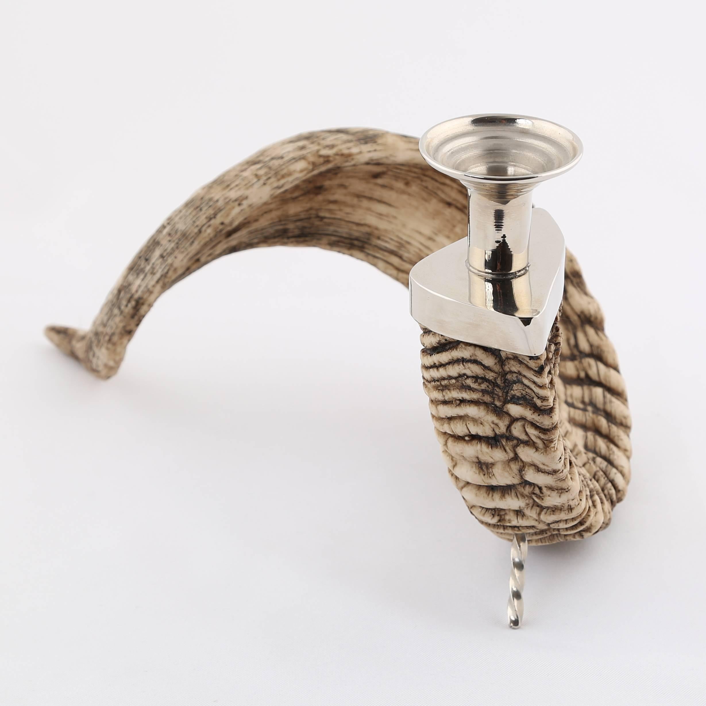 Ram's Horn Candle Holder with Nickel Fittings, circa 1970s In Good Condition For Sale In Brooklyn, NY