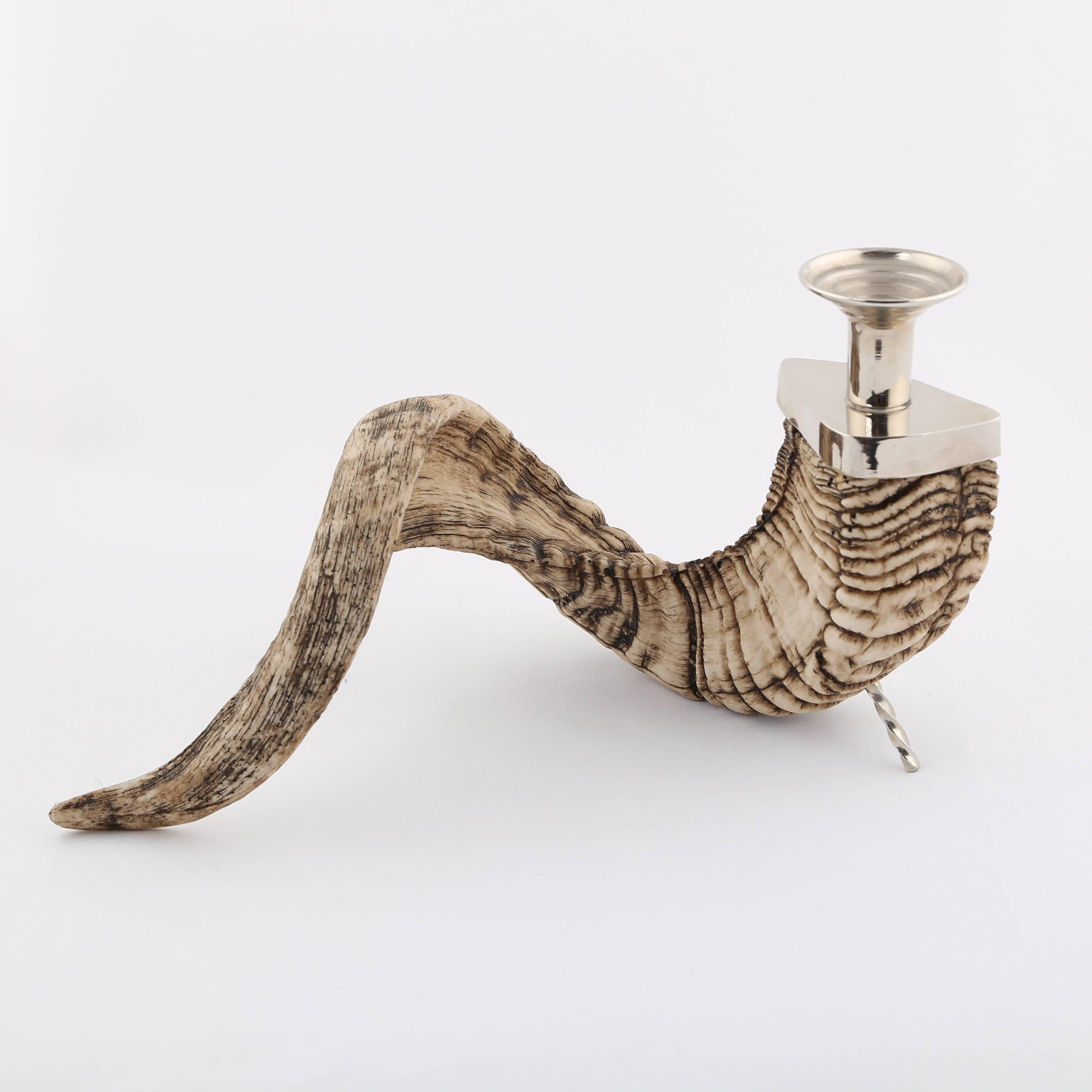 Polished Ram's Horn Candle Holder with Nickel Fittings, circa 1970s For Sale