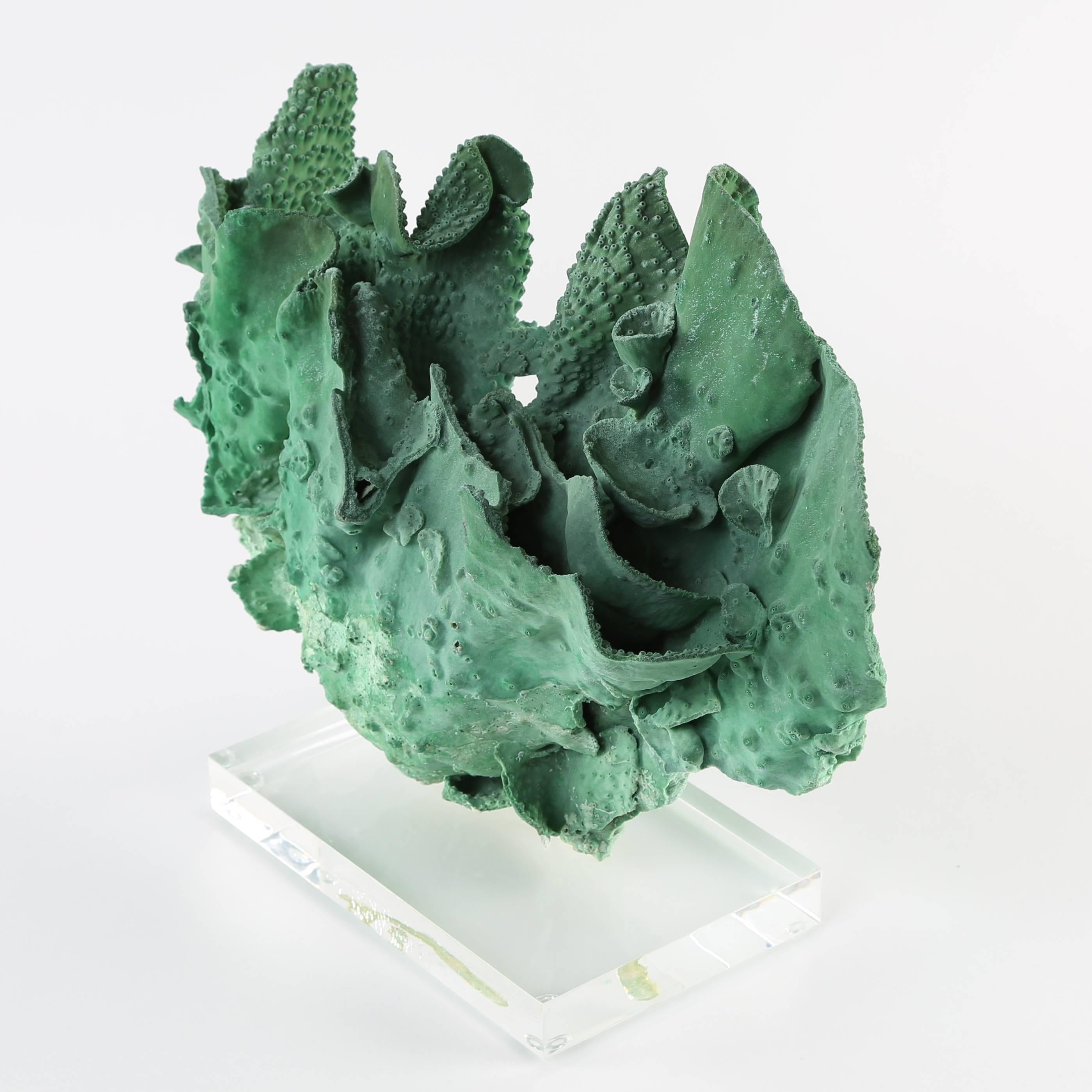 Late 20th Century Vintage Green Coral Specimen Mounted on Lucite Stand