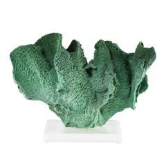Vintage Green Coral Specimen Mounted on Lucite Stand