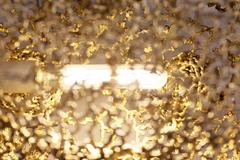 Jack Craig Hot Dog Grey Marble Table Lamp, 2017