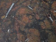 Italian Modernist Cocktail Table with Fossil Marble Top