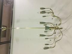 Large Arredoluce Chandelier, 1950