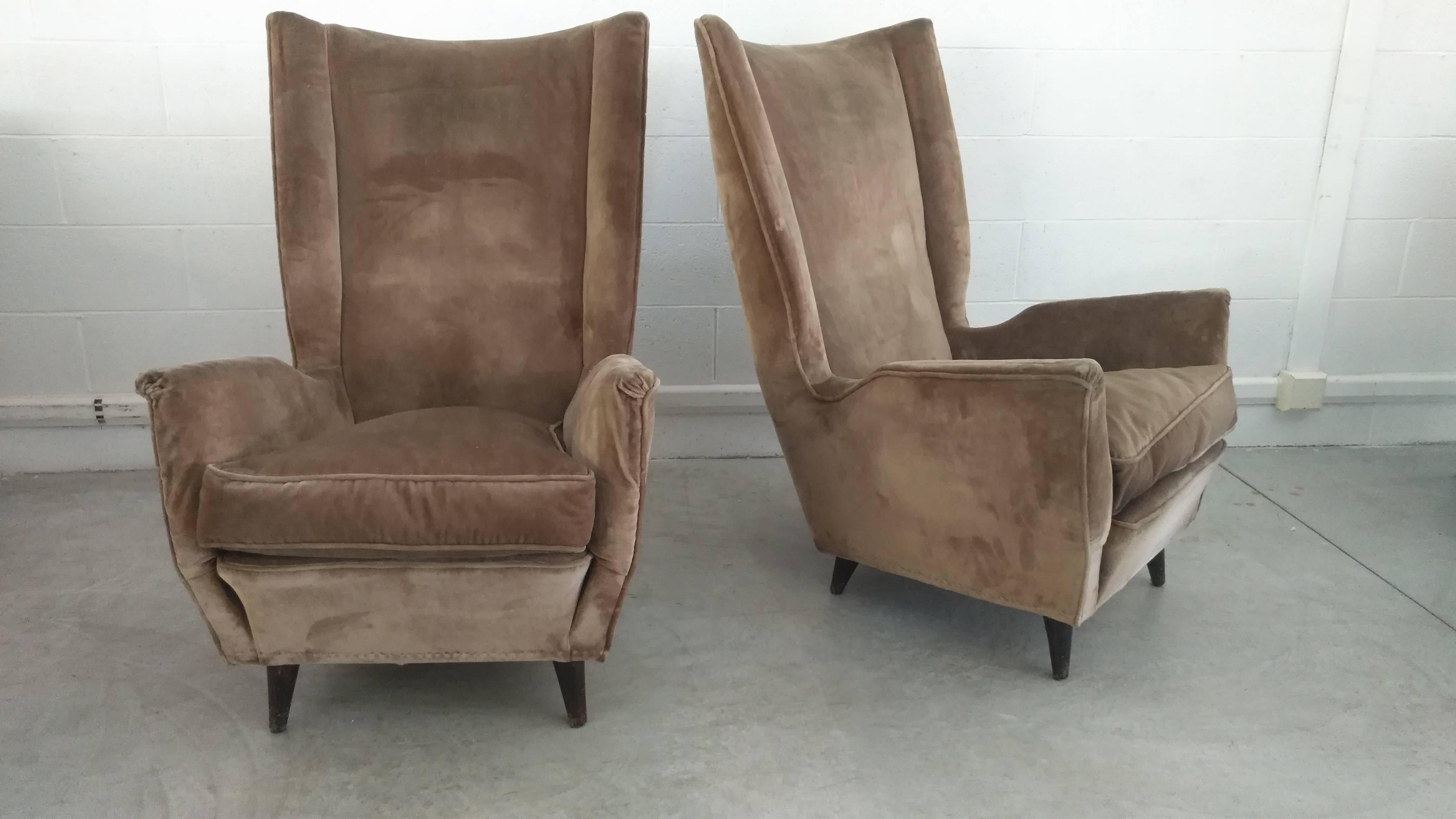 Mid-Century Modern Pair of Armchairs by Isa Bergamo Attributed Gio Ponti, 1950