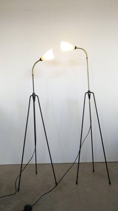 Opaline Glass and Black Metal Adjustable Italian Floor Lamps, 1950