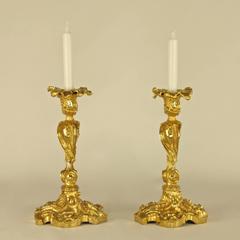 Pair of Louis XV Ormolu Candlesticks in the Manner of MEISSONIER