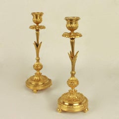 Pair of 19th Century Ormolu Candlesticks in the Shape of a Paris Daisy