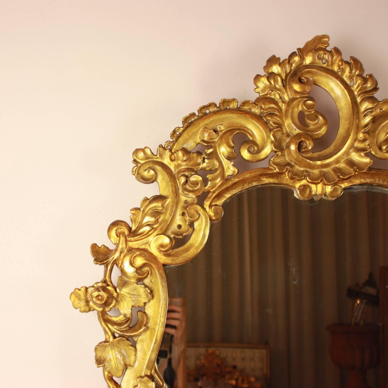An early 18th century giltwood mirror, with a shaped plate contained within a cartouche shaped frame, carved with a rich array of scrolling patterns, acanthus leaves and detailed floral carvings. The cresting pierced displaying a C-shaped surmount