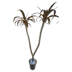 1940s Hollywood Regency Brass Palm Tree Sculpture. Italy 1940's