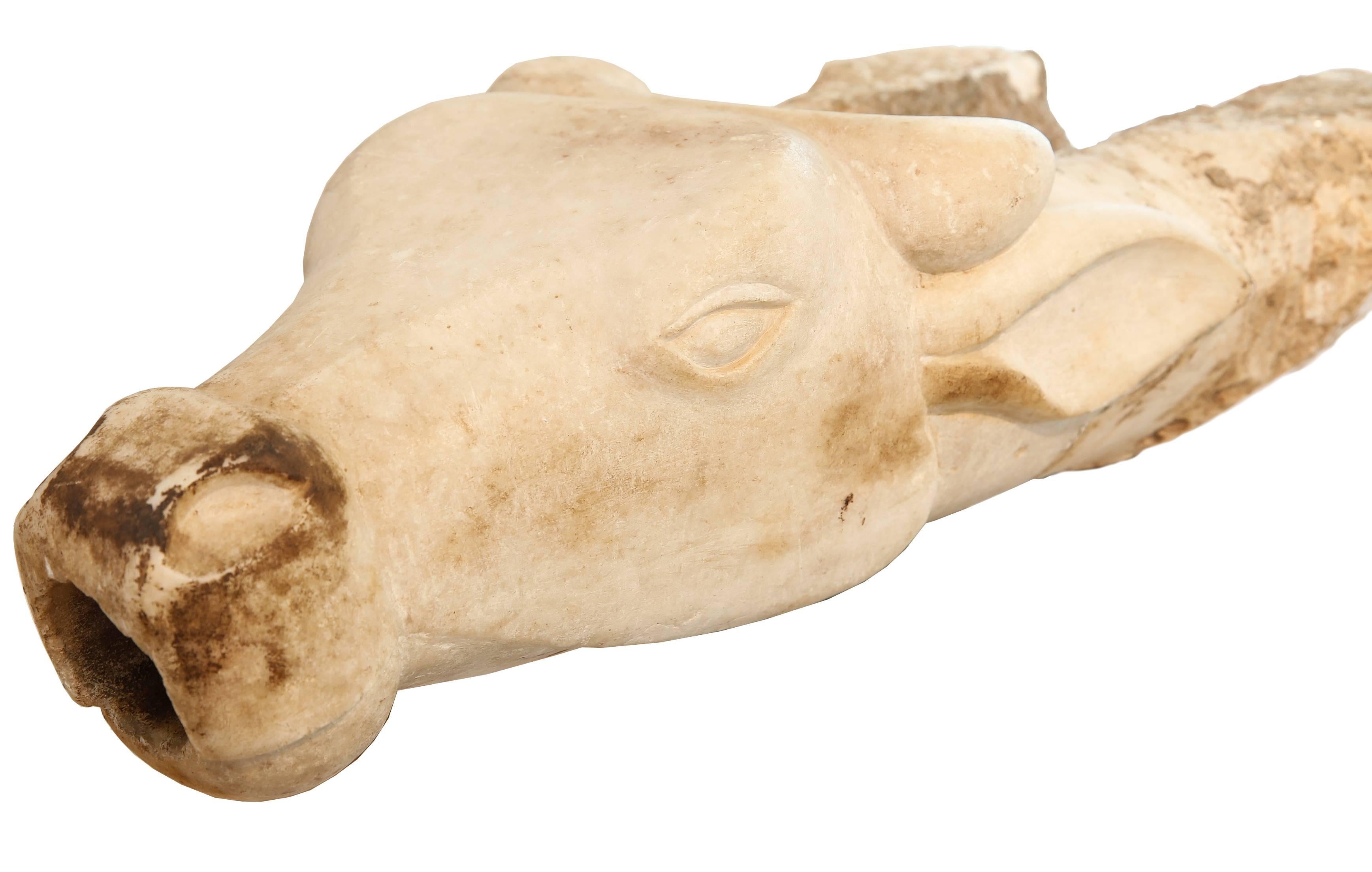 The bull head made out of white marble and perhaps belonging to an architectural element of a temple, as may be inferred from the fine execution, INDIA, 17th - 18th Century.