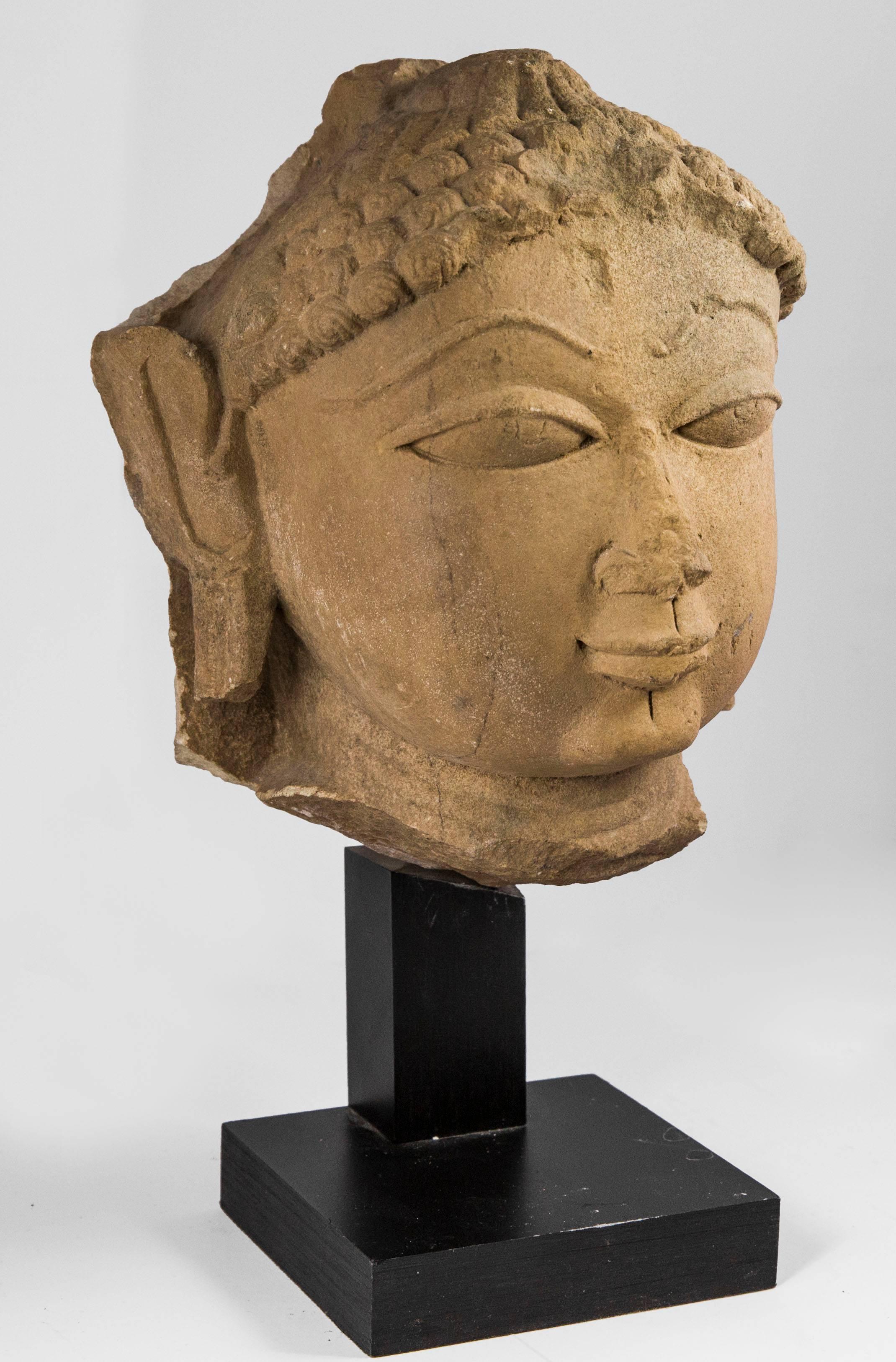 Yellow sandstone head portraying Buddha Shakyamuni with meditative expression. He has a fleshy mouth and large slightly-elongated eyes. His hair is tied back in a bun and his ears are also stretched, this characteristic being typical of Shakyamuni