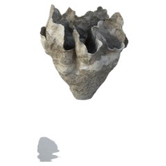 Hidden Core