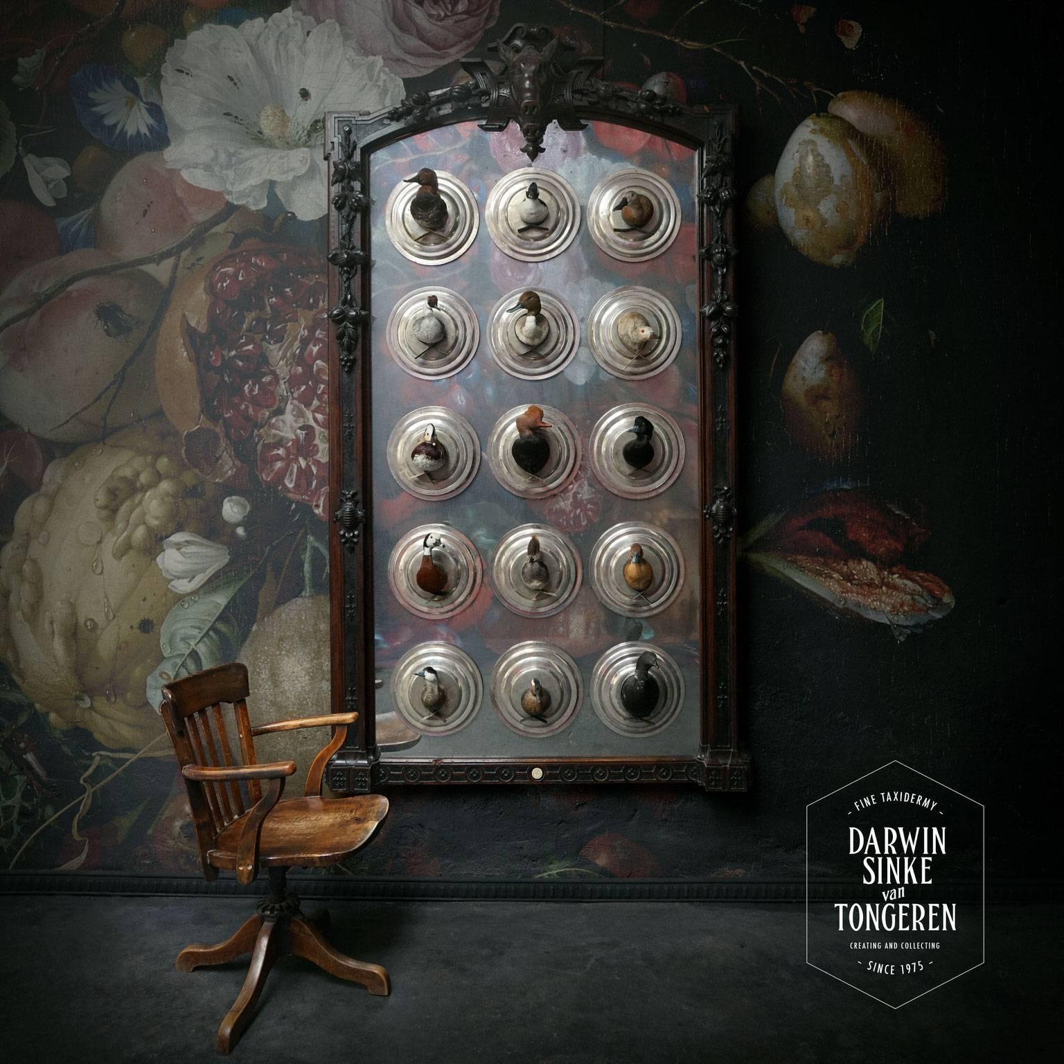 A great collection of 15 different fine Taxidermy duck ‘shoulder mounts’ on silver shields decorating an antique French hunting mirror with a hand-carved boars head. This piece is part of the 'New Masters by Sinke & van Tongeren' collection recently