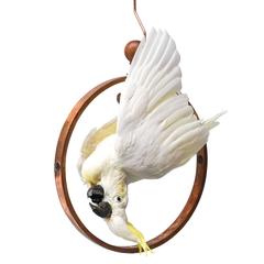 Fine Taxidermy Sulphur-Crested Cockatoo by Sinke & Van Tongeren 12