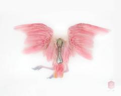 Art Print Titled 'Unknown Pose by Roseate Spoonbill' by Sinke & van Tongeren