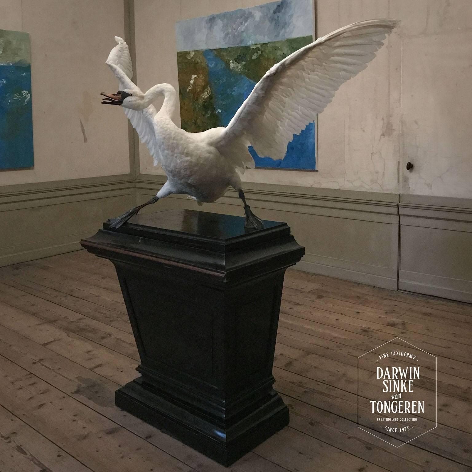 Asselijn's Threatened Swan from Exhibition TIER at MOA by Sinke & Van Tongeren 2
