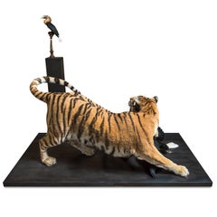 Tiger and Hornbill from Exhibition Tier at Moa by Sinke & Van Tongeren