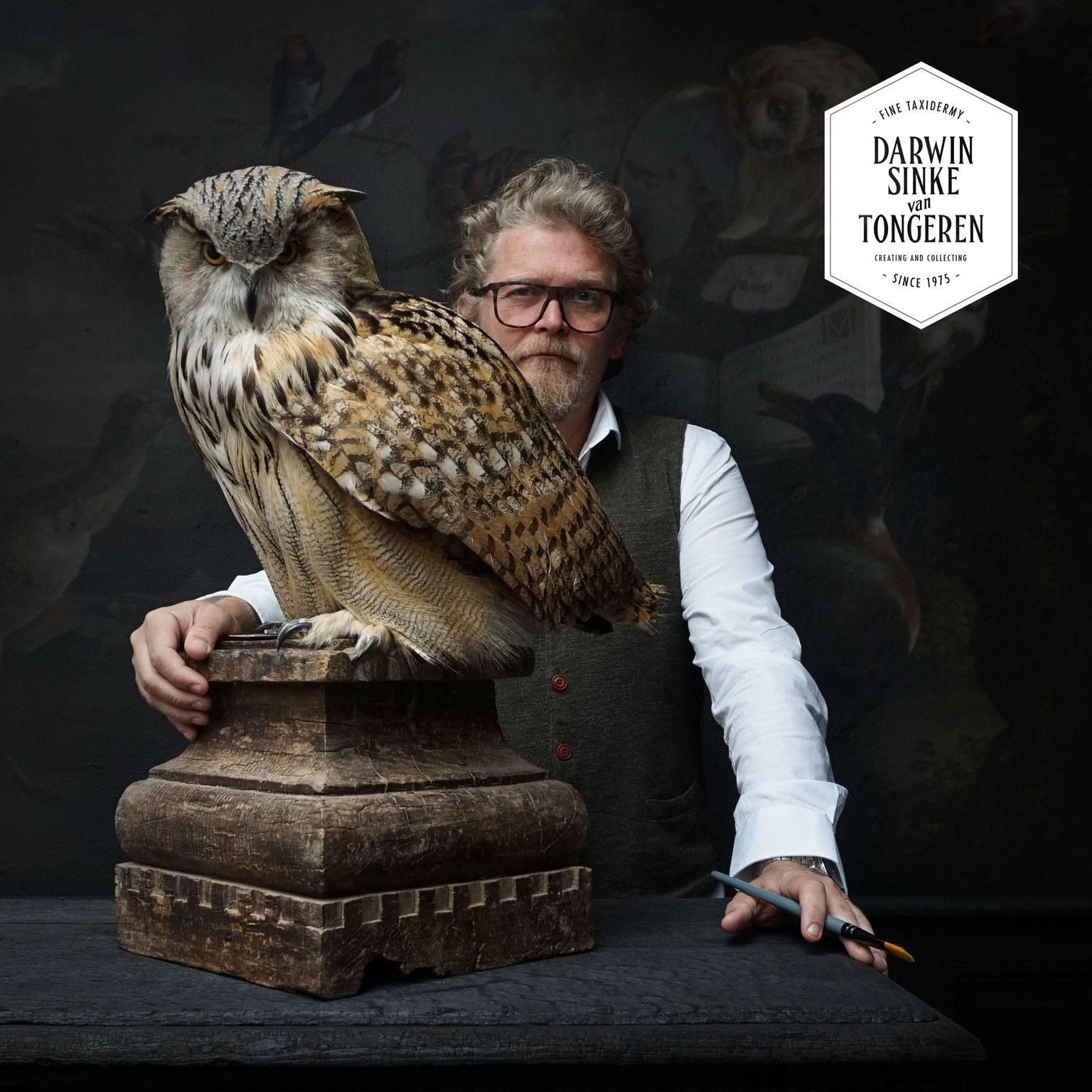 A massive siberian eagle owl on an antique wooden castle plinth. 
A scene inspired on ancient times were owls housed castles and overlooked the grounds from their battlements. 
This predator bird comes with all necessary paperworks and permits for