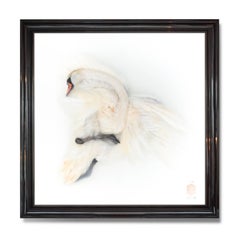 Art Print Titled 'Unknown Pose by Mute Swan II' by Sinke & Van Tongeren