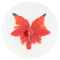 Vintage Art Print Titled 'Unknown Pose by Scarlet Ibis II' by Sinke & Van Tongeren