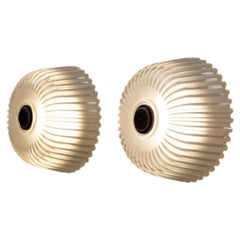 Pair of Murano Glass Wall or Ceiling Lights by Seguso, Italy, 1950s