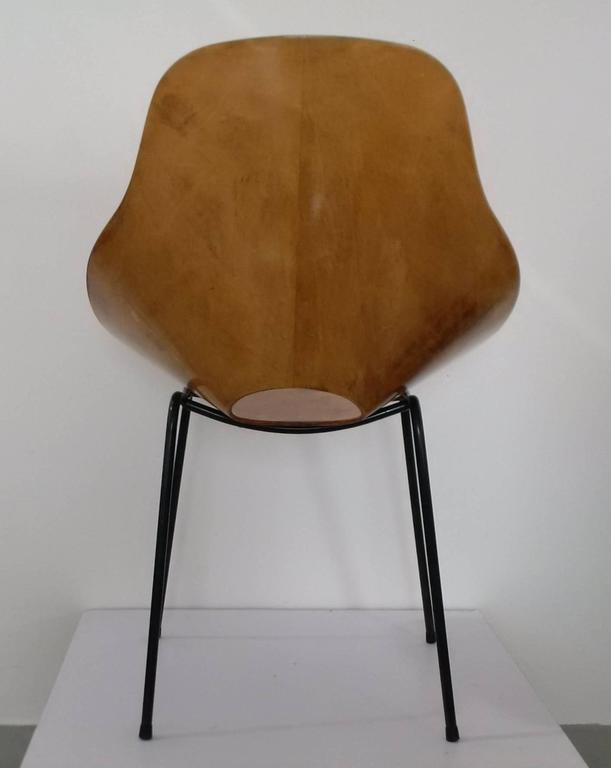 MidCentury Plywood Shell Chair, Italy at 1stdibs