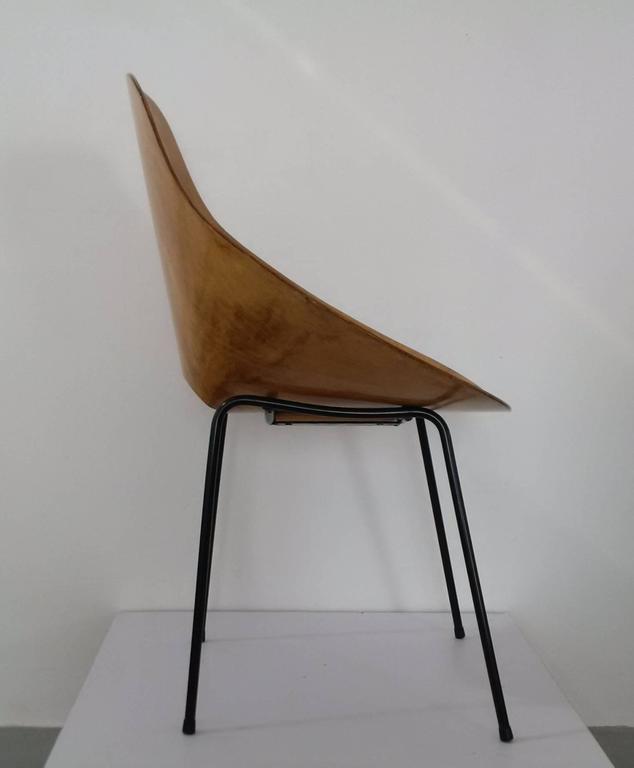 MidCentury Plywood Shell Chair, Italy at 1stdibs