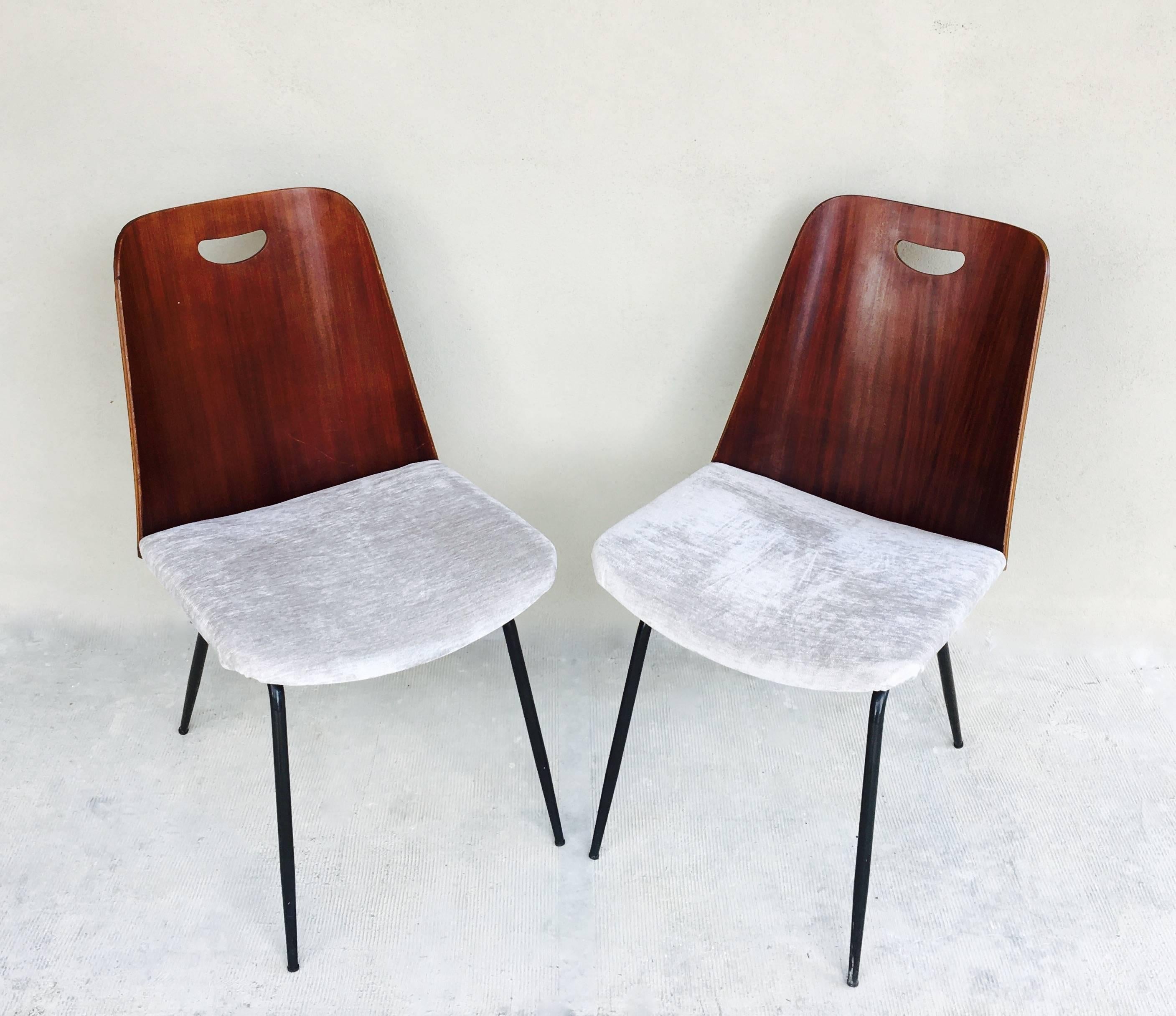 A pair of Du22 chairs by Gastone Rinaldi for RIMA in plywood and upholstered seat on a black metal base. The model was first presented during the 1951 Fair of Arts and Industrial Aesthetics in Milan. Published in "Gaston Rinaldi, Designer at