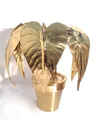 Regency Style Brass Leaves Plant in Pot Lamp, Italian Manufactured, circa 1970