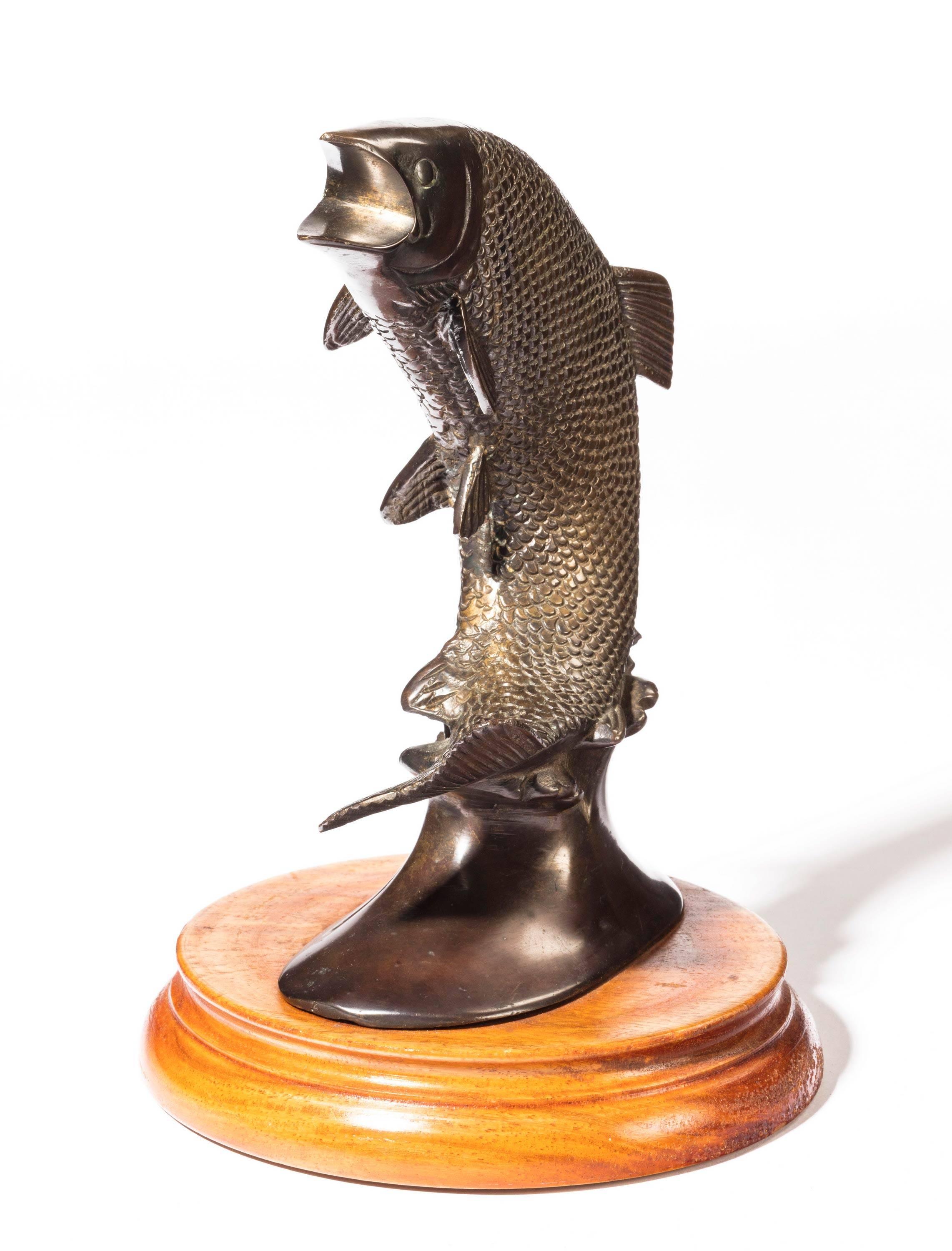 A cast bronze figure of a leaping salmon on an original walnut base. Evenly patinated.