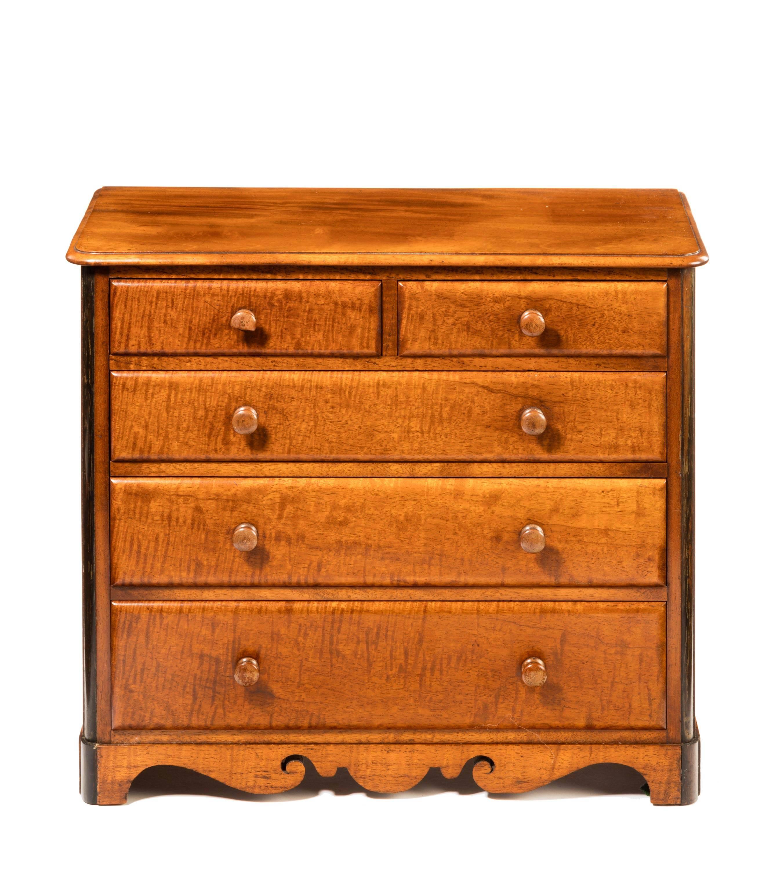 English Victorian Period Satin Fiddleback Miniature Chest of Drawers For Sale