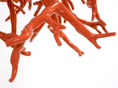 Ceiling Coral Sculpture by Maurizio Epifani