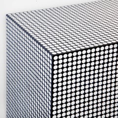 Pair of Cabinets Covered with Round Bones and Black Resin by Etienne Allemeersch