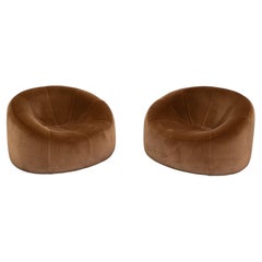 Coppia di sedie “Pumpkin” di Pierre Paulin per Ligne Roset