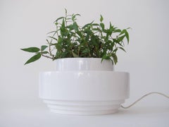 Flower Pot, "Luce E Verde" by Sergio Asti