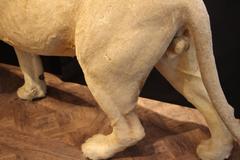 Taxidermy Lion, Full Body Mount