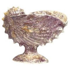 Centro de mesa Wedgwood Queensware 'Moonlight Lustre' en forma de concha de nautilus