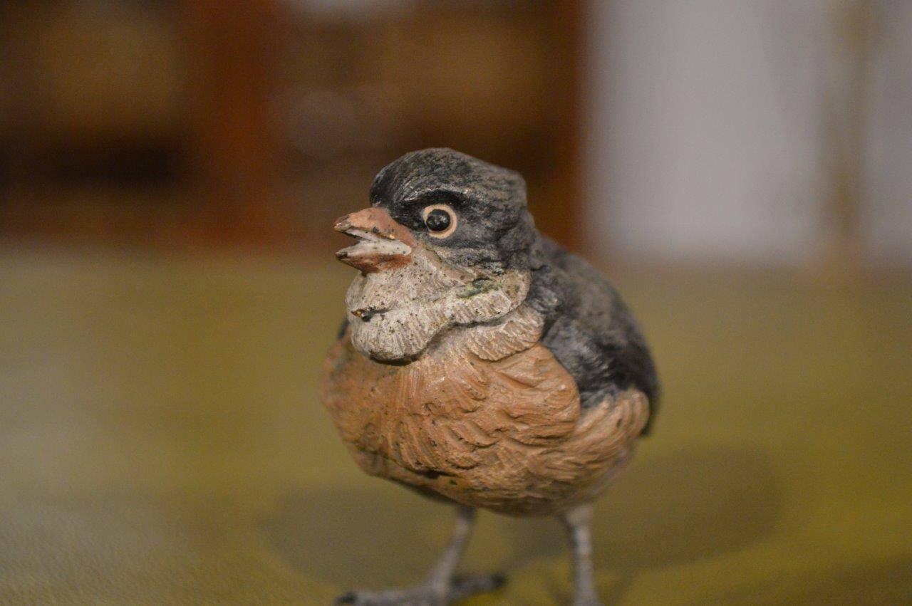 Austrian cold painted bronze sparrow in the style of Franz Bergman
circa 1900-1920

Condition: Excellent original condition