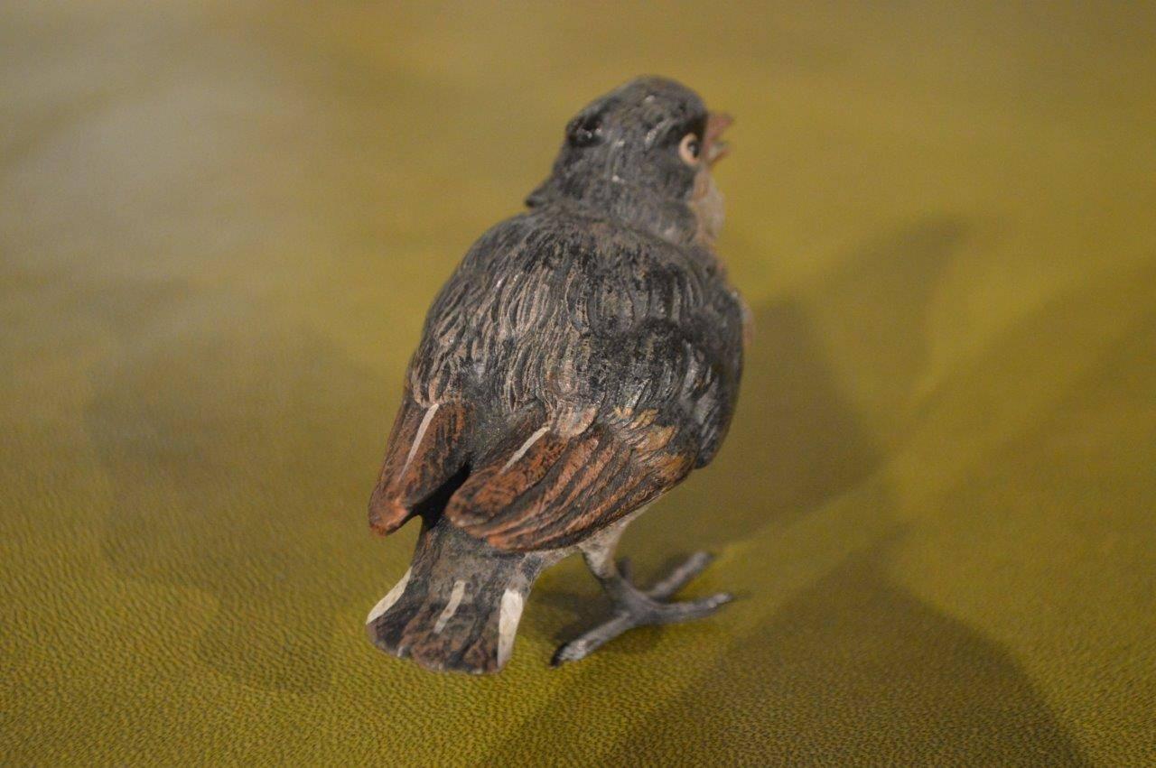 Austrian Cold Painted Bronze Sparrow For Sale 3