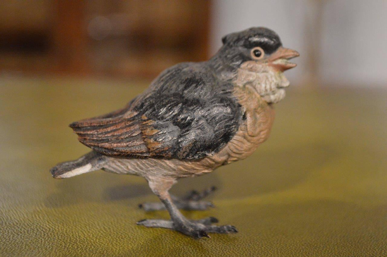Early 20th Century Austrian Cold Painted Bronze Sparrow For Sale