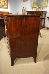 Superb Mahogany Regency Period Bow Front Antique Chest of Drawers