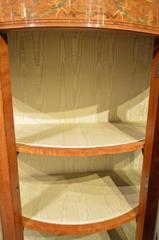 Fine Quality Satinwood Edwardian Period Demilune Antique Display Cabinet