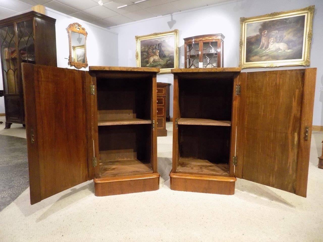 Late 19th Century Good Pair of Victorian Period Burr Walnut Antique Bedside Cabinets