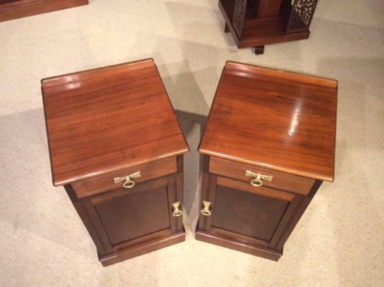 Late 19th Century Good Pair of Walnut Victorian Period Antique Bedside Cabinets