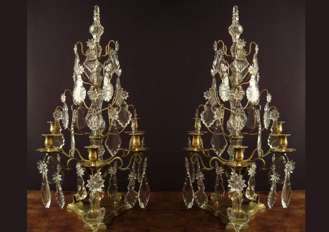 A pair of large bronze and crystal Louis XV style girandoles, five armed, of large proportions.