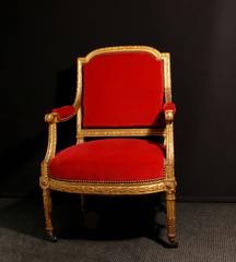 Pair of Carved Giltwood Fauteuil