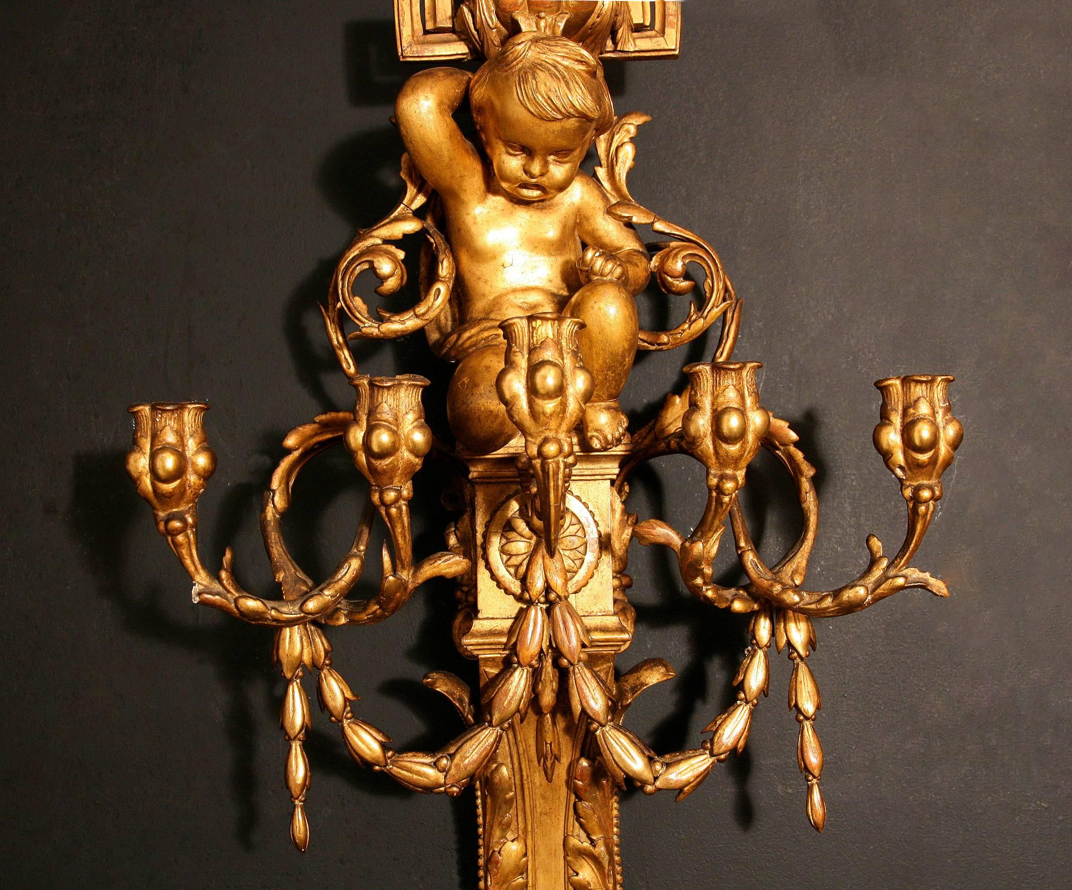 A large pair of Louis XVI style, gesso and carved giltwood, five-arm wall sconces. Depicting a cherub with floral and acanthus wreaths. Late 19th century.