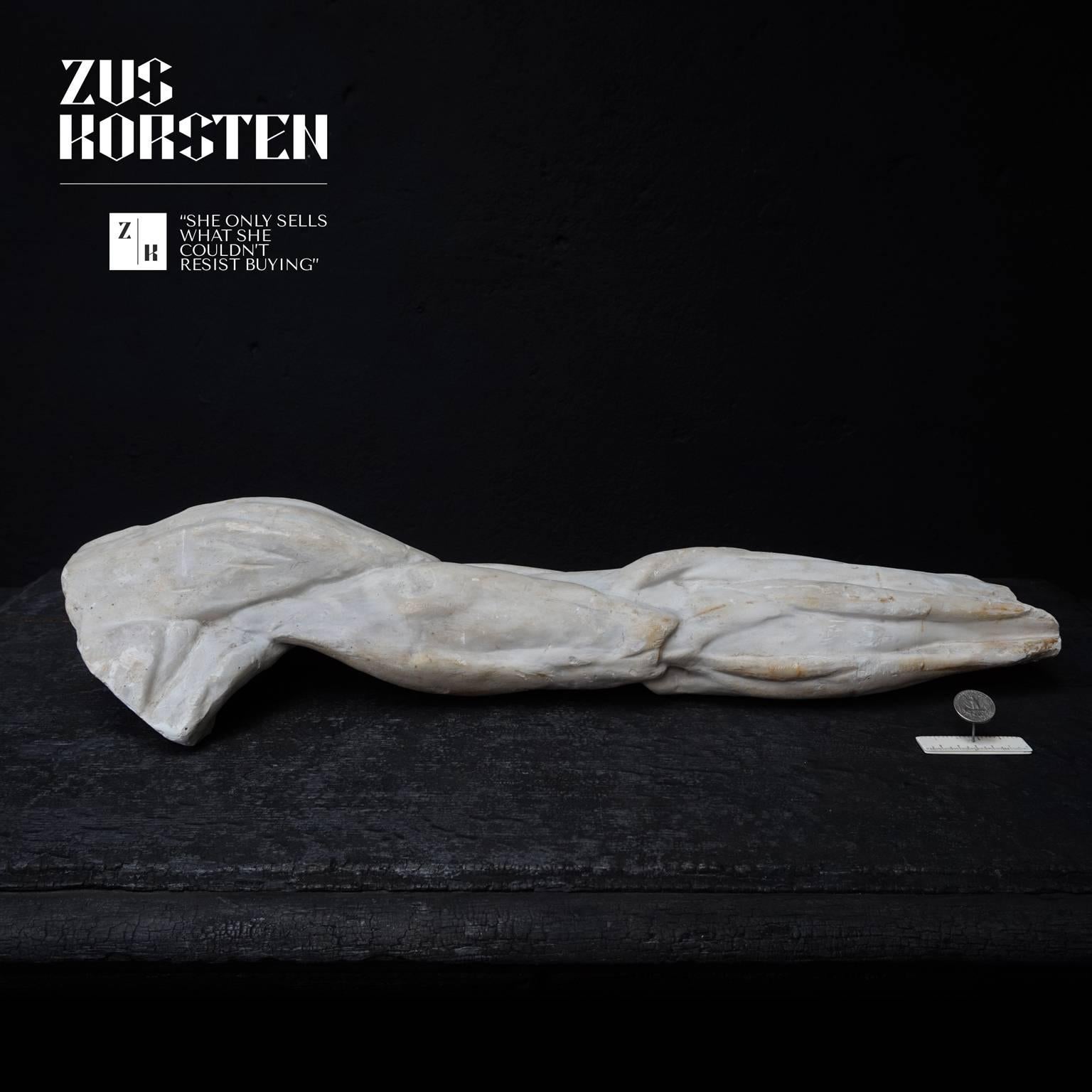 A Beautiful articulated plaster cast of a Human Arm. 

Great muscular structure. There is a rope on the inside where it used to hang from in storage. 
Used at the Rijksacademie in Amsterdam for teaching anatomy in drawing and sculpting. 
The