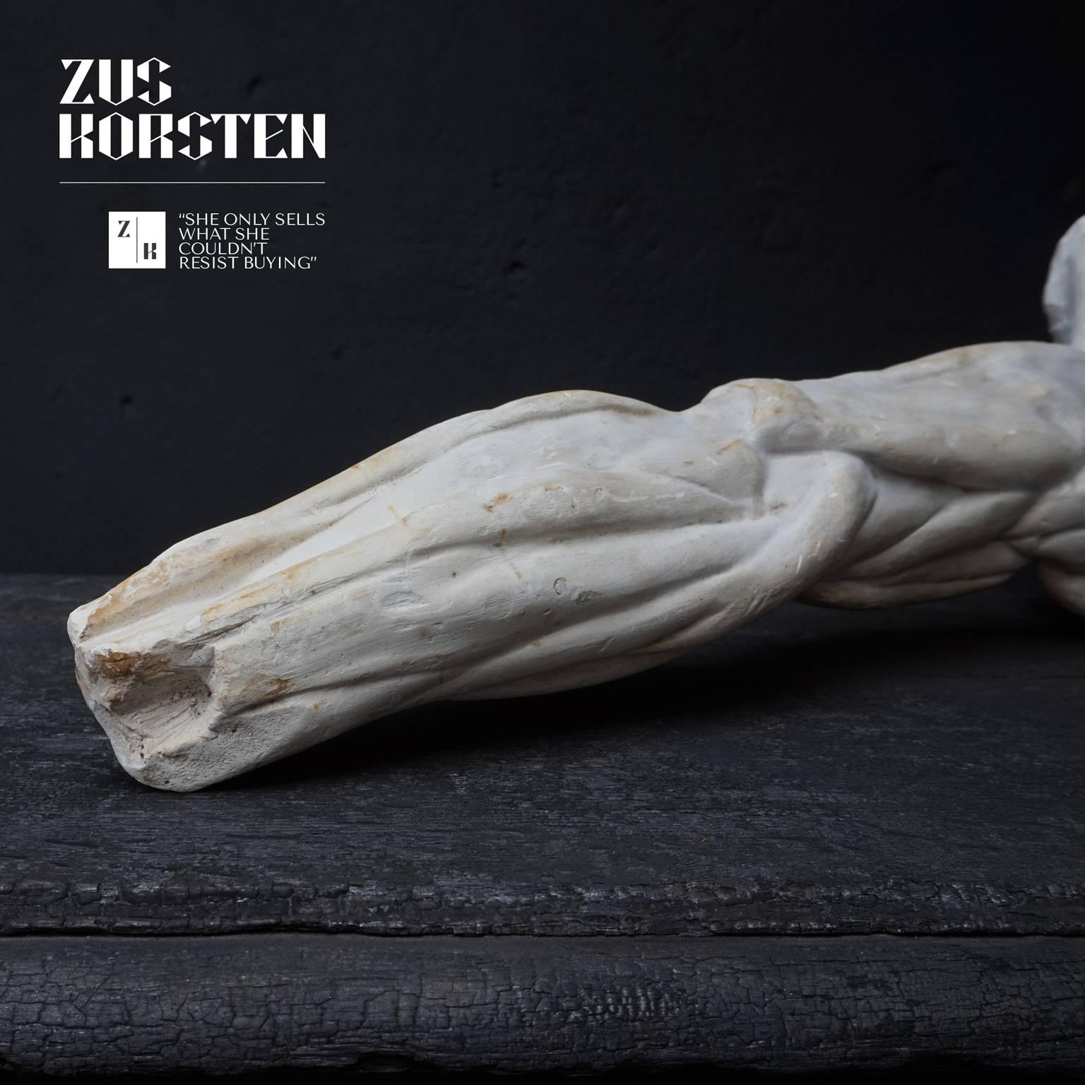 Plaster Study of Human Arm from the Rijksacademie Amsterdam 2
